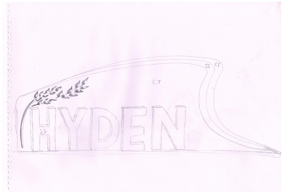 hyden-entry statement drawing